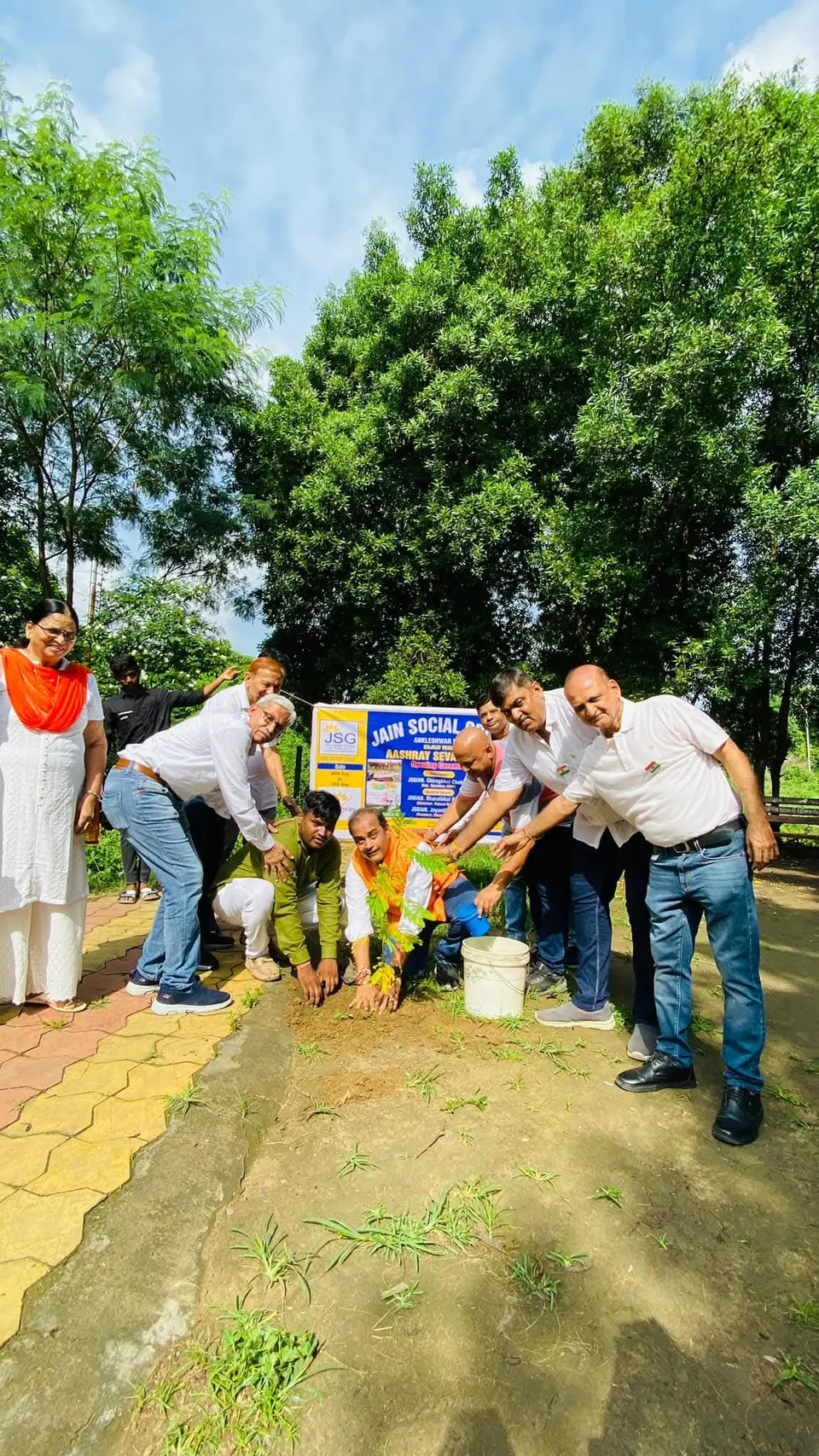 Tree plantation