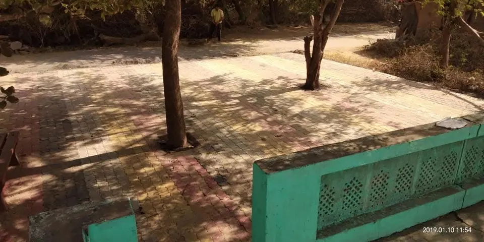 Paver area under trees