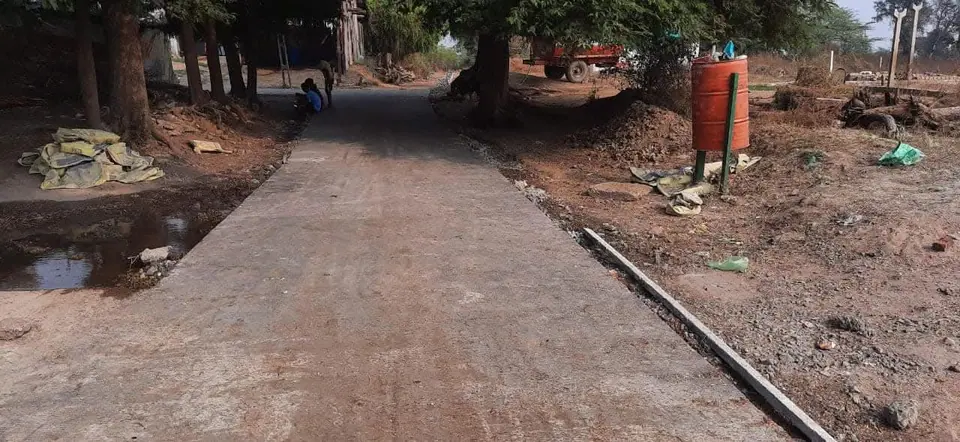 CC road through trees