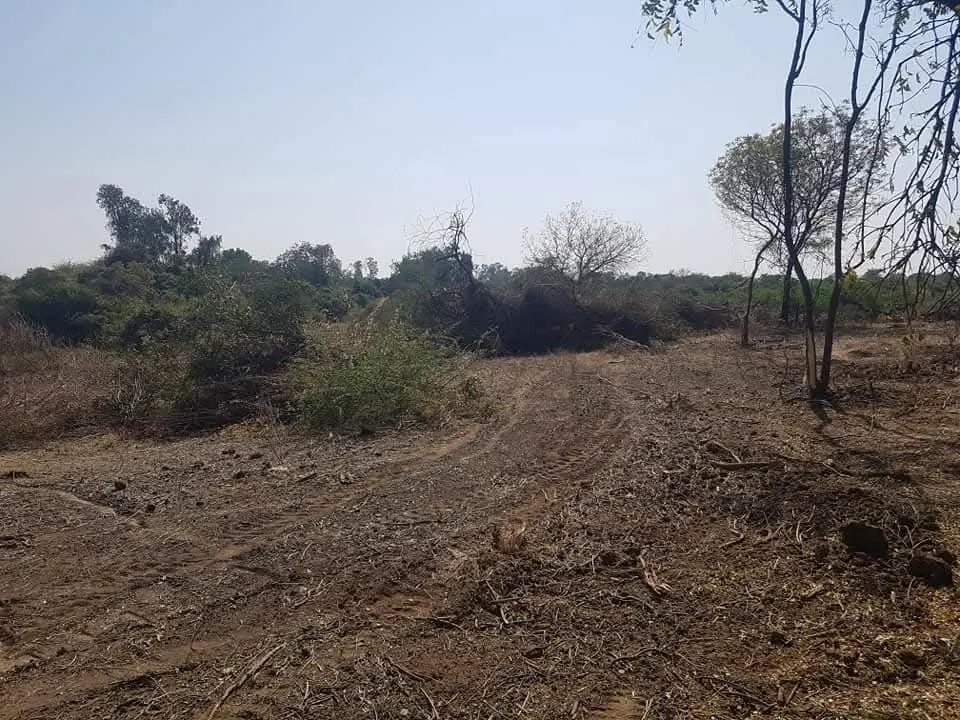 Cleared land