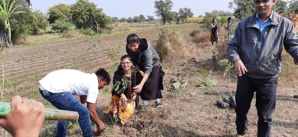 Sapling planting in field