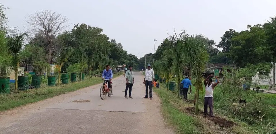 વૃક્ષોવાળો રસ્તો અને પેવર માર્ગ